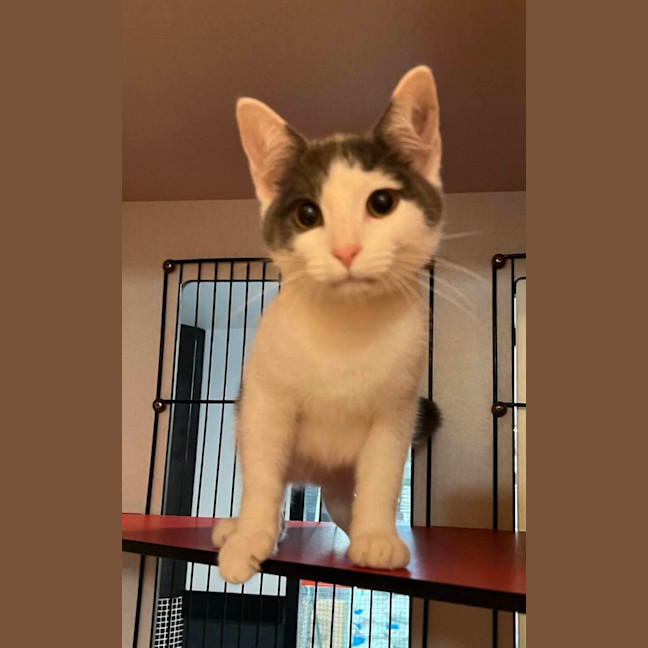 Photo of Hugo