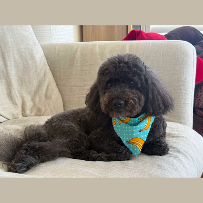 Photo of Monty