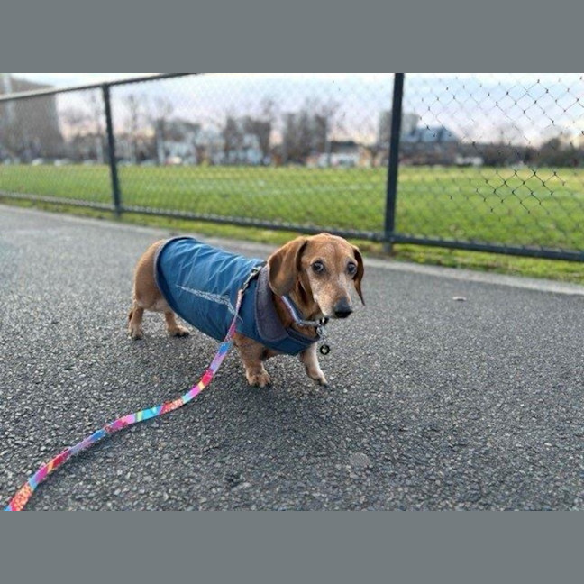 Photo of Hans Russelton