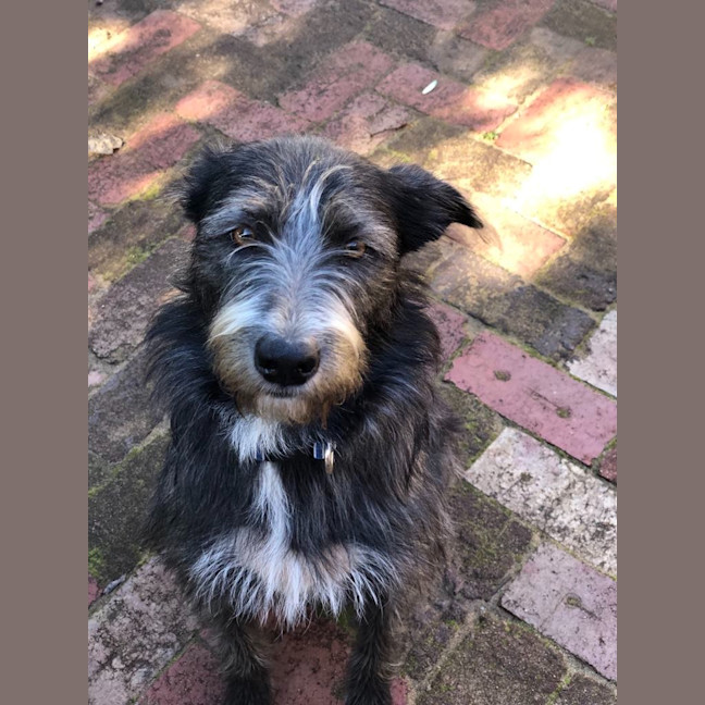 Photo of Winnie