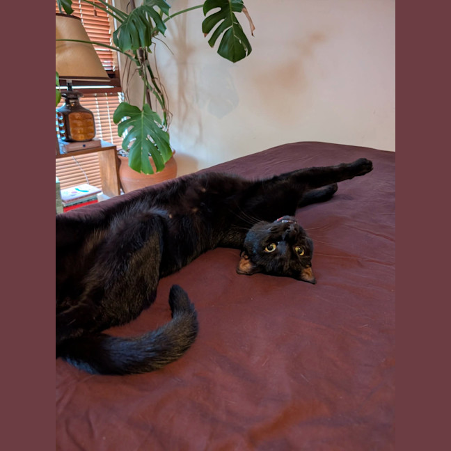 Photo of Kiko