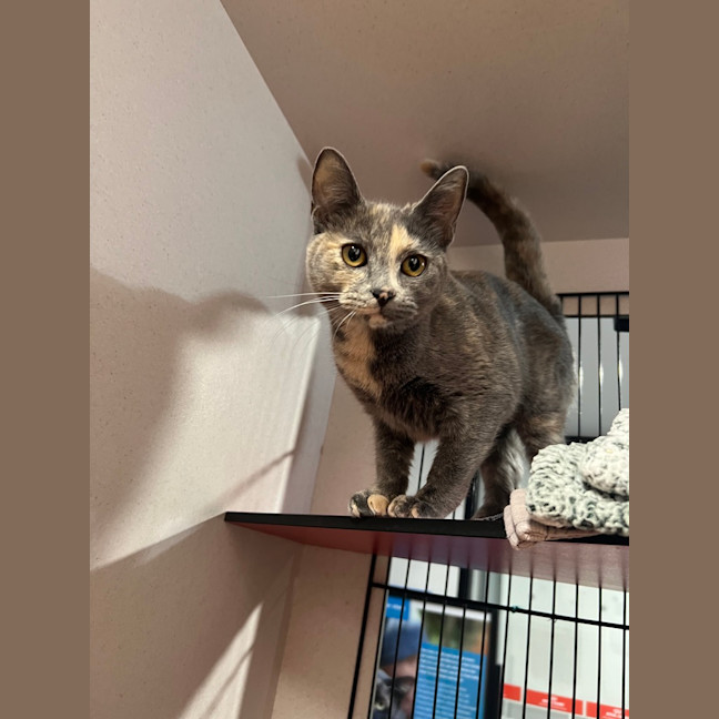 Photo of Storm
