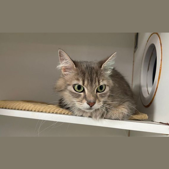 Photo of Molly