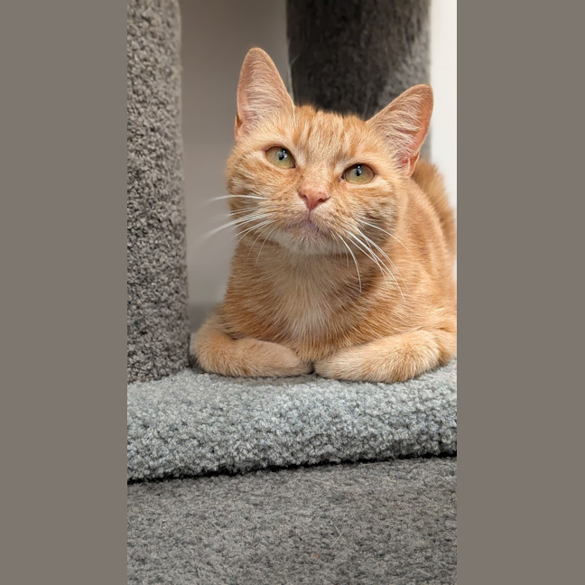 Photo of Annie