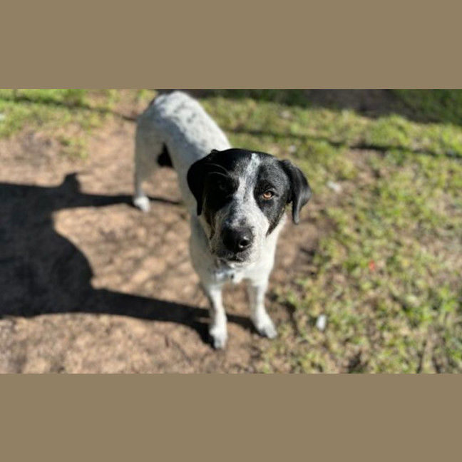 Photo of Delilah