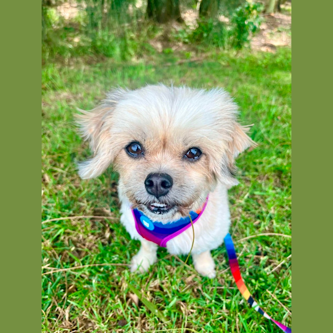 Photo of Annie