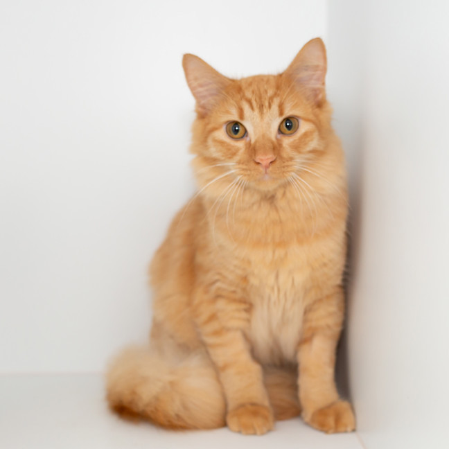 Photo of Benny