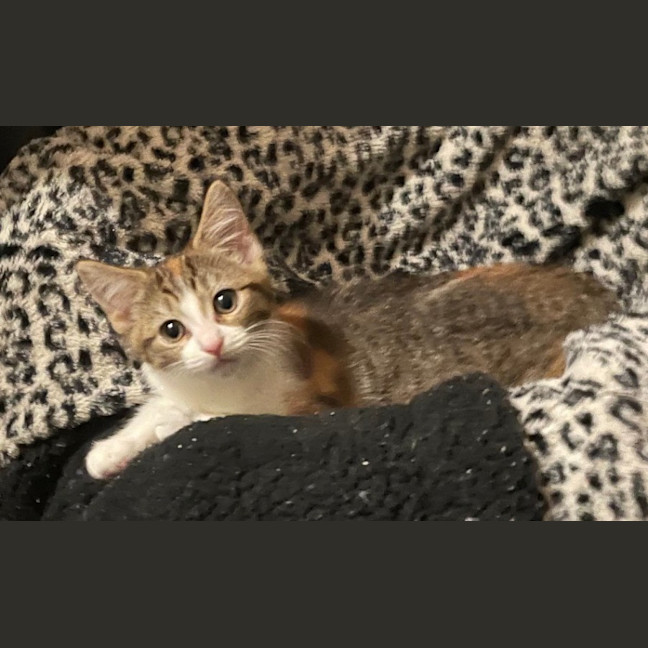 Photo of Lucyloo