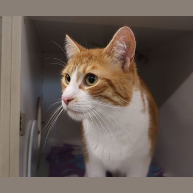 Photo of Jack