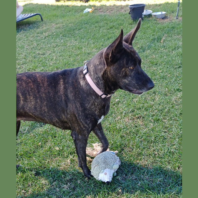 Photo of Ellie