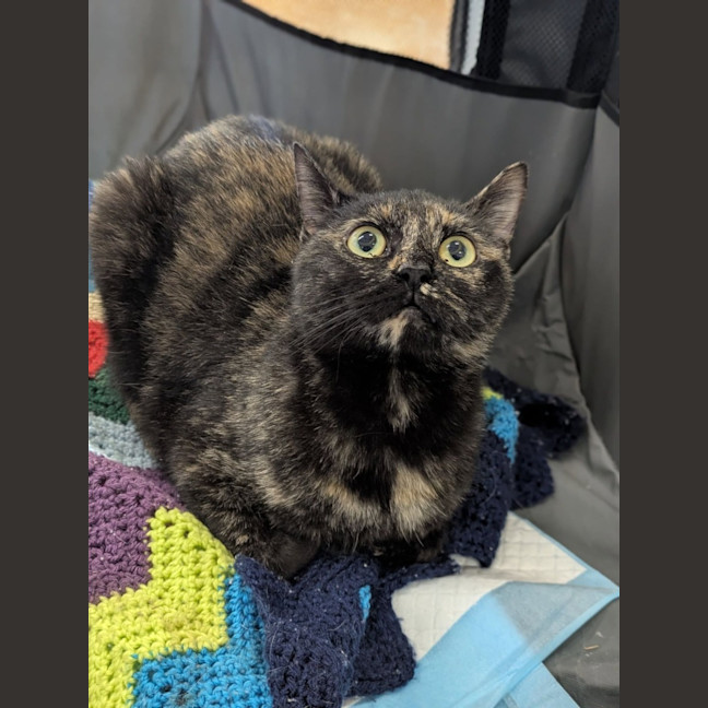 Photo of Oriah