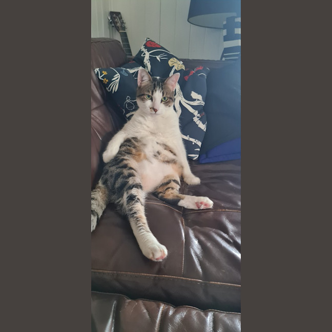 Photo of Lucy