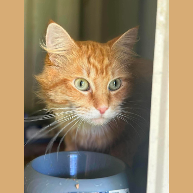 Photo of Kingston 