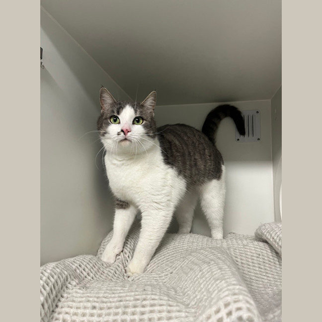 Photo of Bonnie