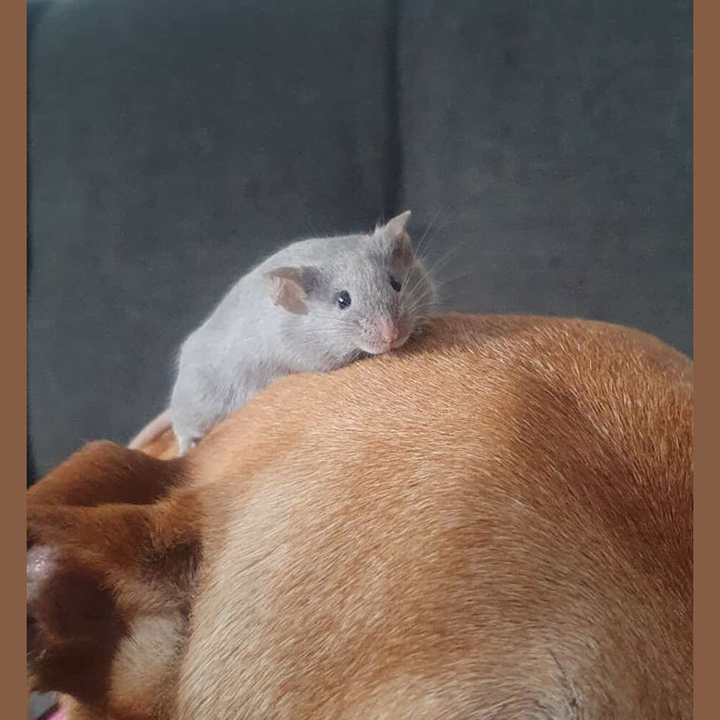 Photo of Vander / Ekko