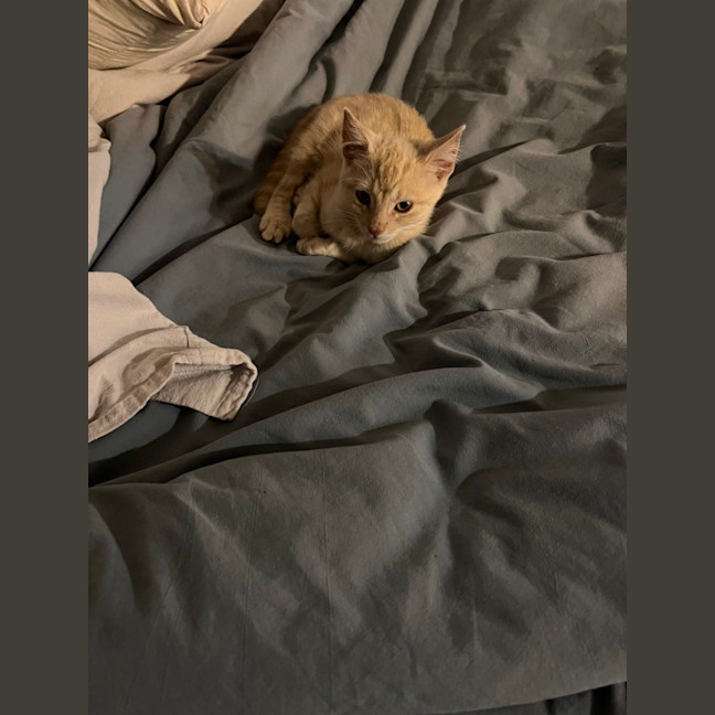 Photo of Monty