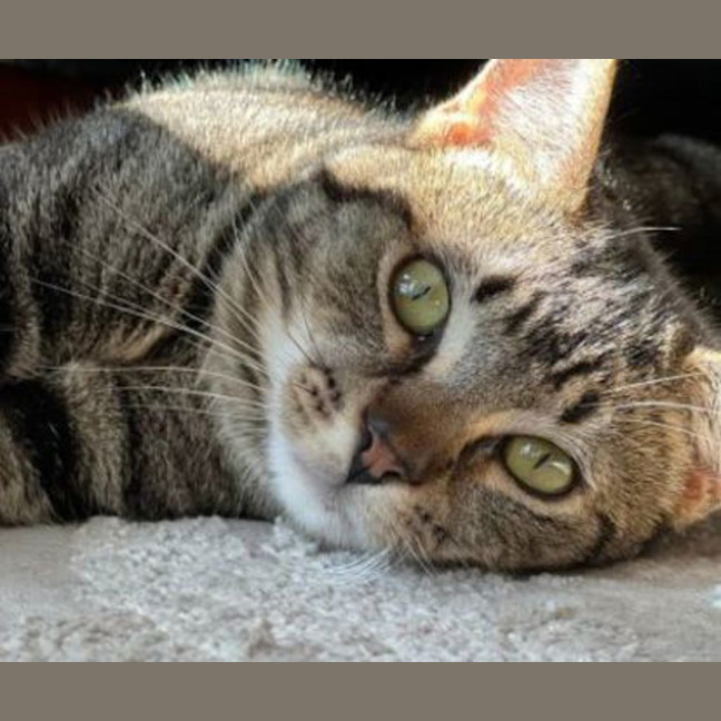 Photo of Charlie