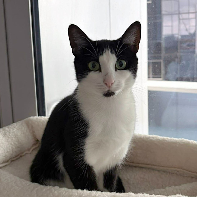 Photo of Boots
