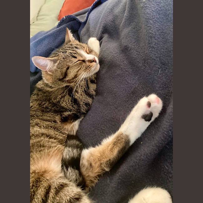 Photo of Kaiya