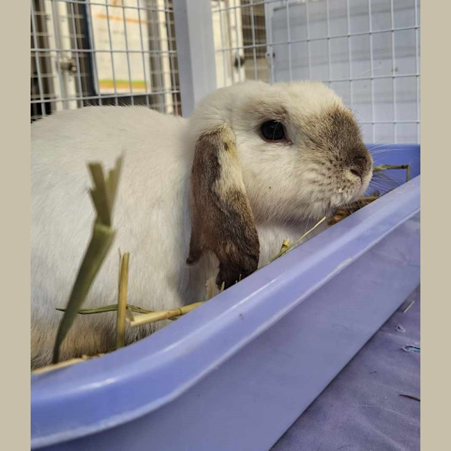 Photo of Samantha & Eddi