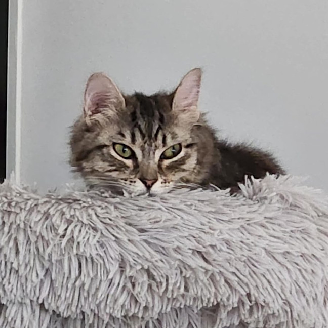 Photo of Sophie