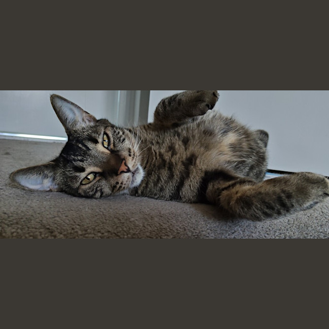 Photo of Leo