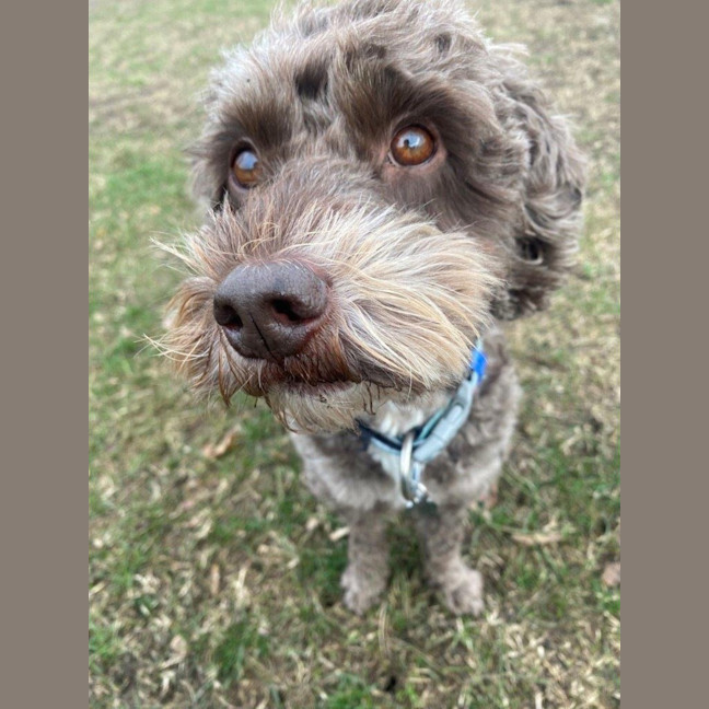 Photo of Milo Russelton