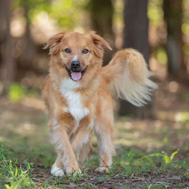 Photo of Buttons