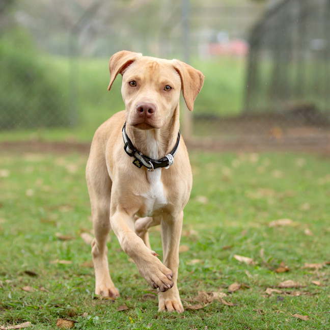 Photo of Cash