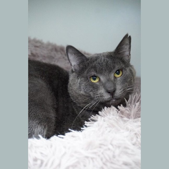 Photo of Sweetie Boy