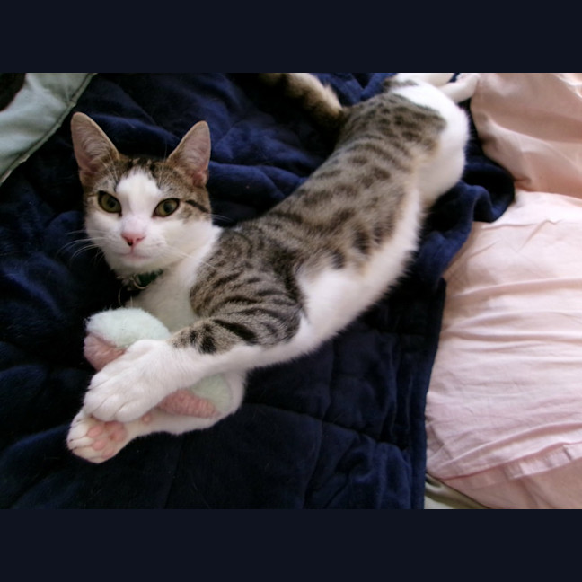 Photo of Marcel
