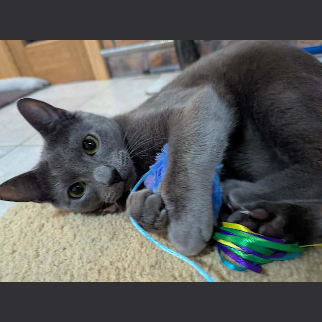Photo of Smokey