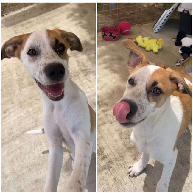 Photo of Little Miss