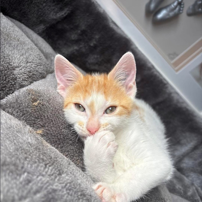 Photo of Fred