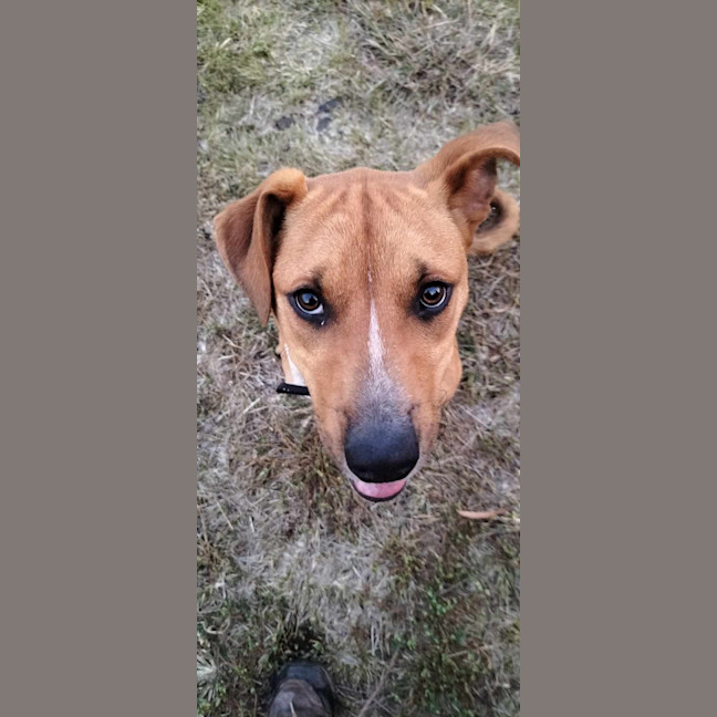 Photo of Lewis (Louie)