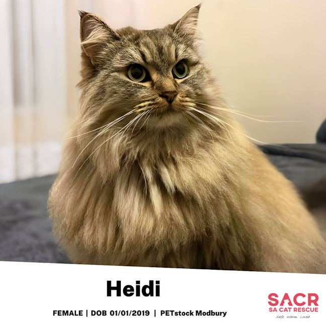 Photo of Heidi