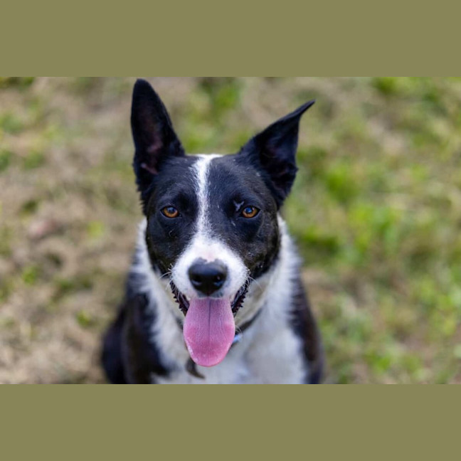 Photo of Bonnie
