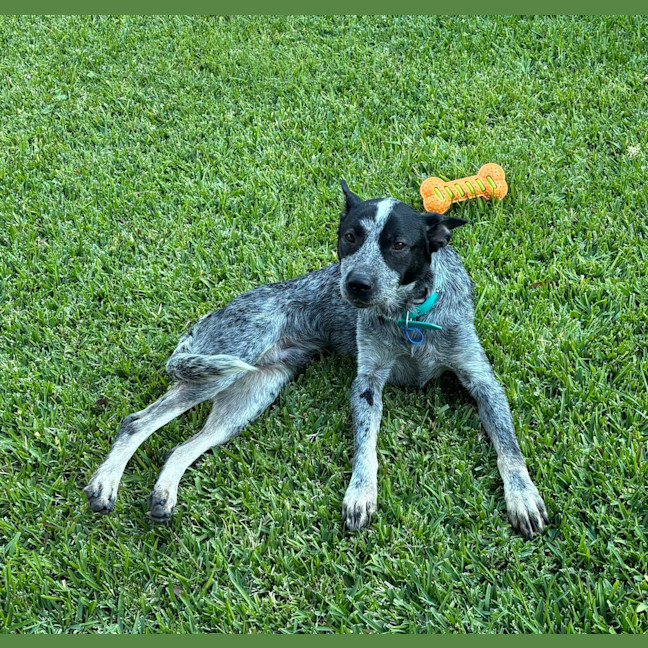 Photo of Jacko
