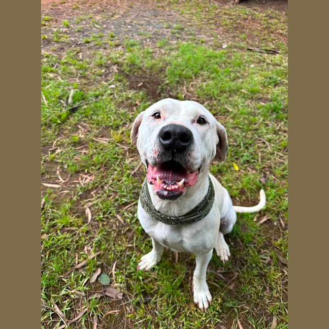 Photo of Harley