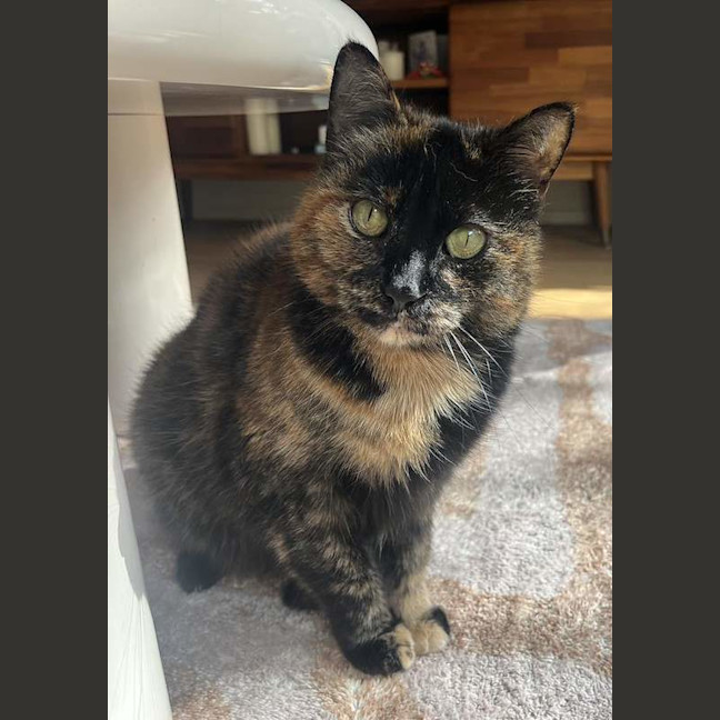 Photo of Wiggles