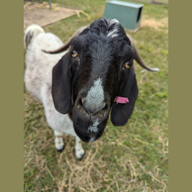 Photo of Carl