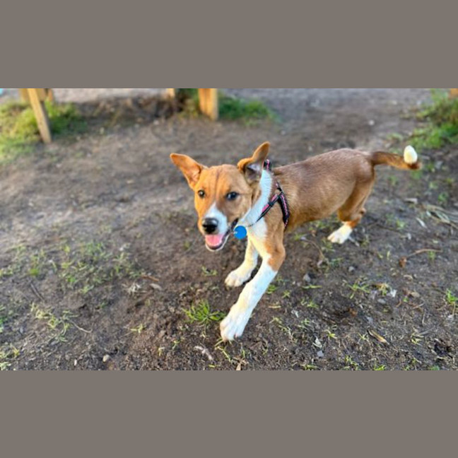 Photo of Latch