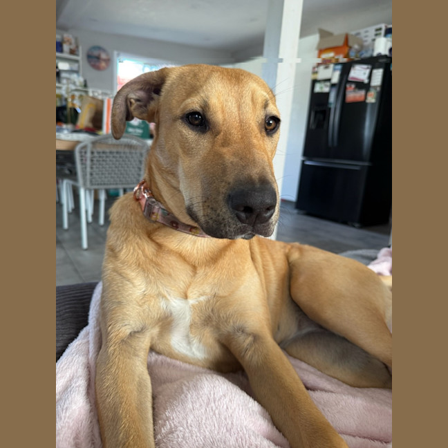 Photo of Winnie 