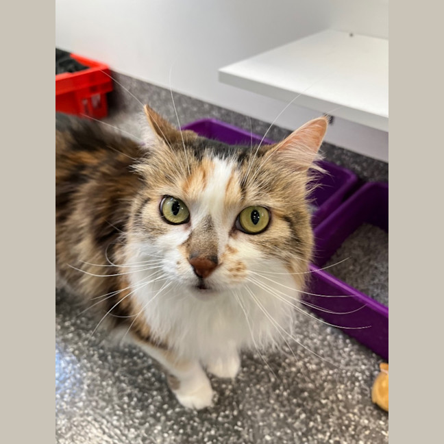 Photo of Butter And Skittles