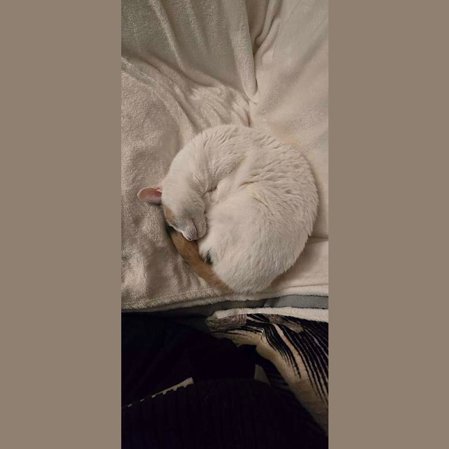 Photo of Angel