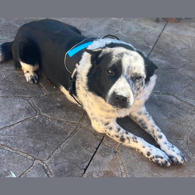Photo of Tex