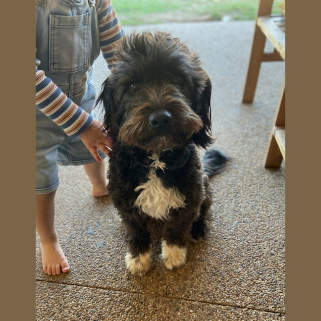 Photo of Daisy