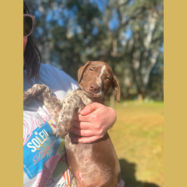 Photo of Buddy