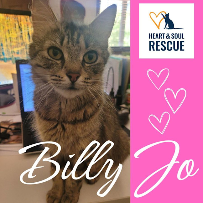 Photo of 💗 Billy Jo 💗