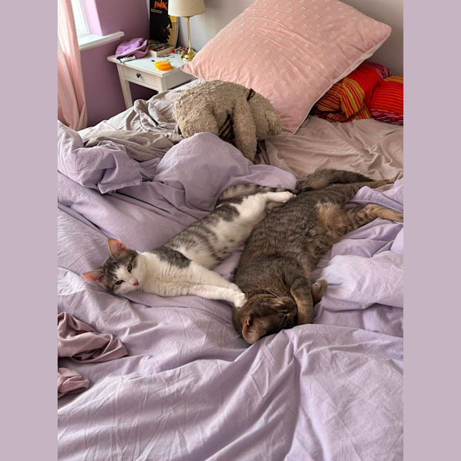 Photo of Annie